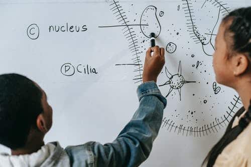 Career as Microbiologist